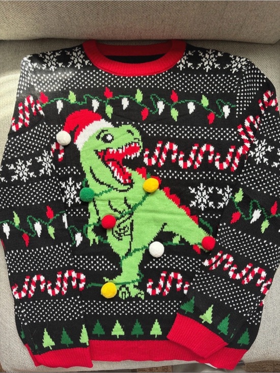 Other - Holiday T-Rex Knit Sweater